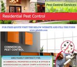 PEST CONTROL IN DUBAI @ AED 99