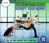 PEST CONTROL SERVICES