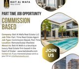 REAL ESTATE CONSULTANT
