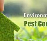 # 54th UAE National Day - Asian Pest Control Offers! OFF 54 AED