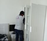 # No.1 Pest Control – 30% Extra Discount Today!