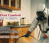 # Best Pest Control - Up to 40% Christmas Discount