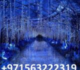 ESTABLISHED NIGHTCLUB IN PRIME LOCATION IN DUBAI+971563222319